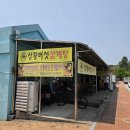 명자네 생물 이미지
