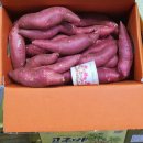 명지농장1 이미지