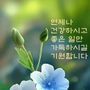 가난한 집안에 장녀로 태어나 이미지