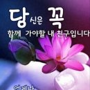 ♤10월의 기도 _ 이해인♧ 이미지