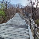 한양도성(남산구간) 이미지