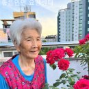좋은인연 | 곡반정동요양원 좋은인연 요양센터 생생후기