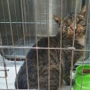 청림동물병원 이미지