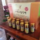 스톤트리