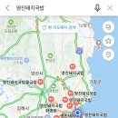 영진돼지국밥신호점