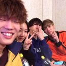 그루비펫 이미지