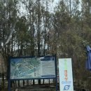 씨유 안산푸른점 | 대부도 캠핑장 추천 서울 근교 캠핑 갯벌체험 가능한 푸른섬캠핑장 B1사이트 내돈내산 후기