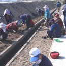 사등마을 이미지