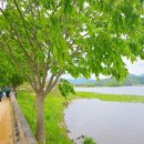 8단지입구사거리(6단지쪽 교통섬) | 서울근교 당일치기 양평 두물머리 핫도그 여행 코스 추천 (with 강동화훼단지)