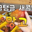 인화농장 이미지