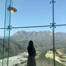 더엠브로시아 이미지