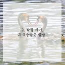 브이의원 이미지