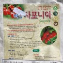 쥬블리