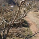 기우농장 이미지