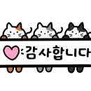 박터진흥부네 이미지