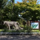 홍천박물관 이미지