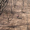 영동읍 주곡리 주곡교 이미지