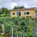 표선공인중개사사무소 이미지