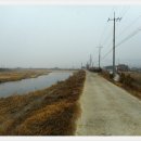 남천마을길 이미지