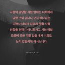 미쁘사