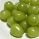 머루농장 | 샤인머스켓 제철, 효능, 배송 후기(야미농장)