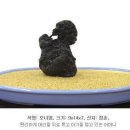 배춘 Daum카페
