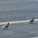 덕인목장 | 2025년 6월