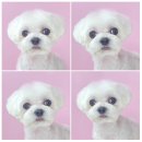 산호동457 이미지