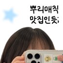 웰빙프라자 | [화명동 미용실] 장마철 곱슬머리 뿌리매직 후기｜그로잉살롱 화명점