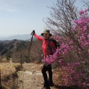 봄꽃과 함께 고독한 산행을 즐긴다~~금정산/백양산종주(22/04/10/일) 이미지