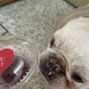 벌크커피계림