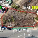 선산대로-2 네이버블로그