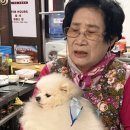 뚜리바분식 이미지