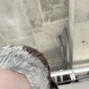 타마시헤어(성복점) 이미지