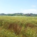 서은희농장 이미지