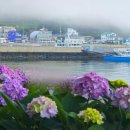 수국민박 이미지