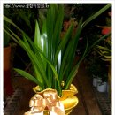 산천빌딩 이미지