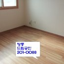 동조리젠시 이미지