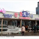 죽변항 이미지