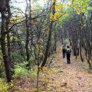 이원보건지소 이미지