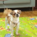 헬로그루밍 이미지