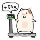 팔팔순두부 이미지