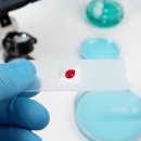 서초동물병원 이미지