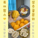 성주이씨 열녀문 | 성주 참외 | 퓨어팜스 - 당도 최고 성주꿀참외 온라인 구매 후기 (feat. 그릭참외 레시피)