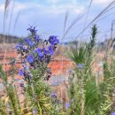 영자네민박 이미지