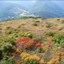 나의목장 이미지