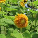 대공원입구로 이미지