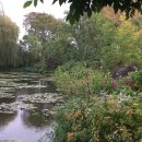 모네의 정원 이미지