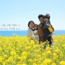주정차단속-145 | 4월 제주여행기 2 - 출발 (Feat. 김포공항 주차대행 (주차단속주의), 김포공항 면세점/수유실/키즈놀이터)