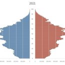 대한민국 인구 피라미드 근황 이미지